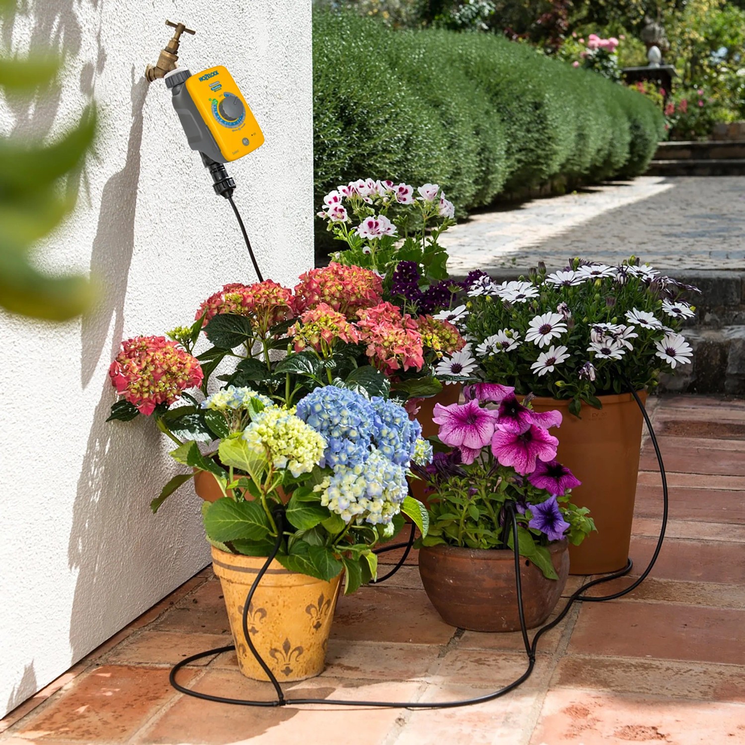Hozelock Bewässerungs-Set mit 20 Tropfern und Select Controller für automatische Micro-Drip Bewässerung.
