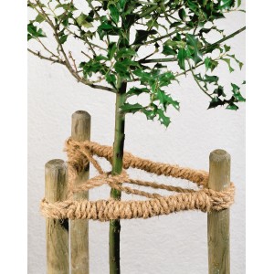 Baum mit Naturbindestrick an Holzpfosten fixiert. Kokosgarn zum Anbinden im Garten.