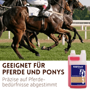 Galoppierende Pferde, daneben Supravit Elektrolyte Liquid für Pferde in roter Dosierflasche. Pferdefutter.
