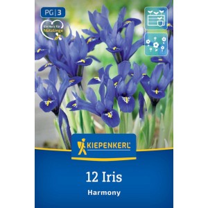 Kiepenkerl Netzblatt-Schwertlilie Harmony Blumenzwiebeln, 12 Stück. Violett-blaue Iris mit gelber Mitte, Frühjahrsblüher für Garten & Kübel.