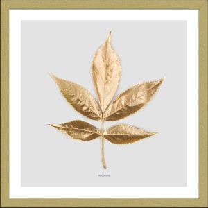 Pro Art Bild Framed Art Golden Leaf I 30 cm x 30 cm