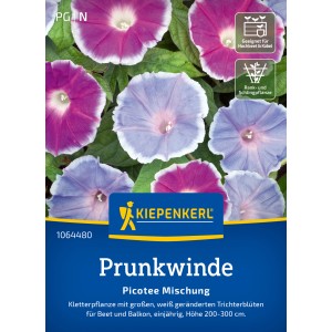 Kiepenkerl Trichterwinde Picotee Mix Blumensamen mit pinken und lila Blüten mit weißem Rand.