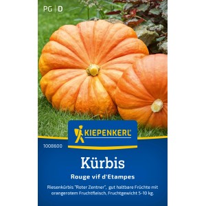 Kiepenkerl Kürbis Rouge vif d'Etampes, hellrote Früchte auf grünem Gras.