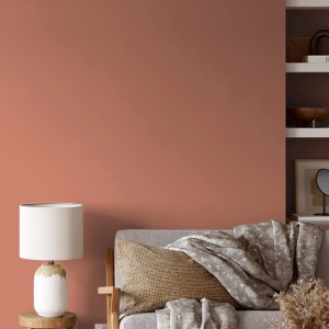Wand in mattem Orange (Farbton Tonerde) mit V&CO Premium-Innenfarbe gestrichen.