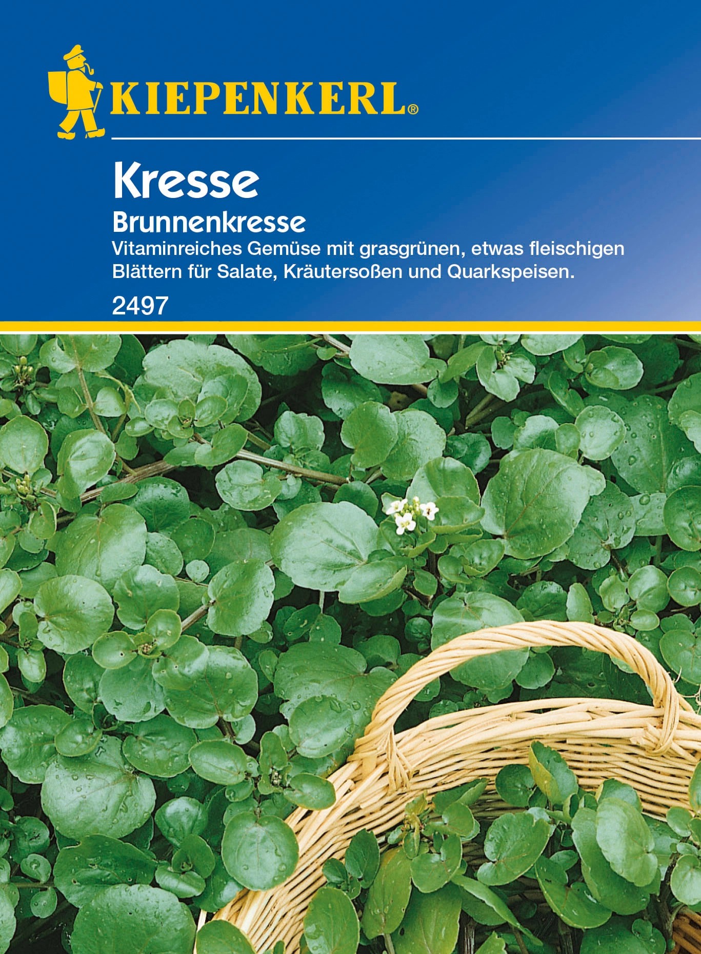 Kiepenkerl Kresse "Brunnenkresse" kaufen bei OBI