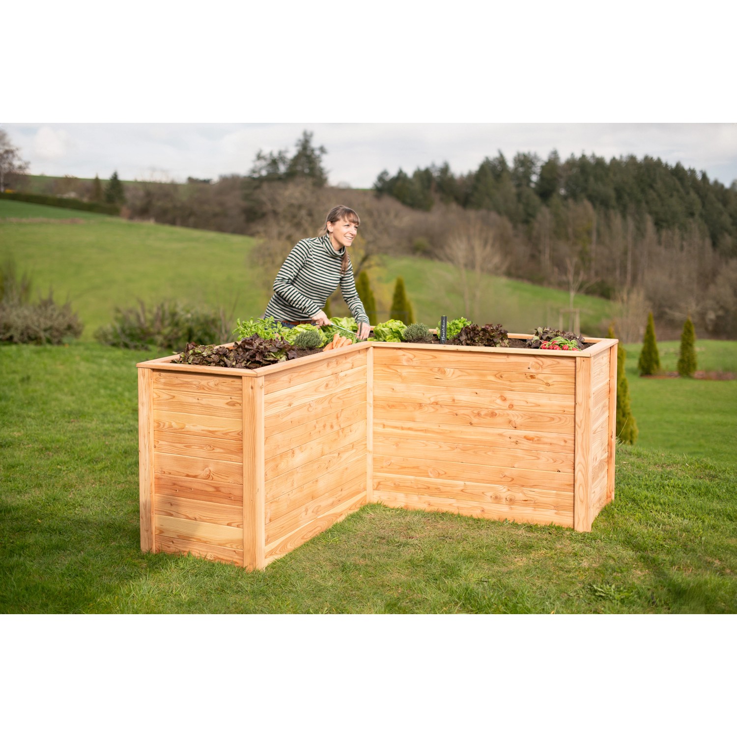 Westmann Holz-Eckhochbeet Klassik L, naturbelassen, mit Frau beim Bepflanzen im Garten.