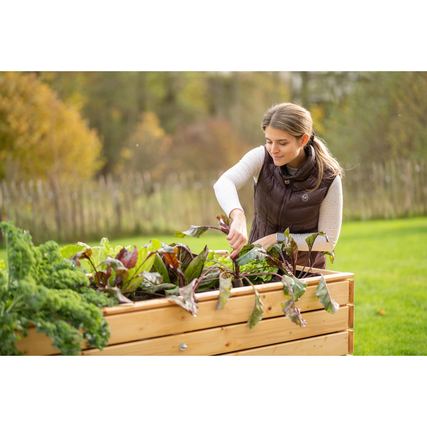 Frau gärtnert in Westmann Hochbeet XL aus Fichte mit Salat und Gemüse.