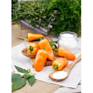 Orange Snack-Paprika Capsicum annuum auf Holzbrett mit Gewürzen.