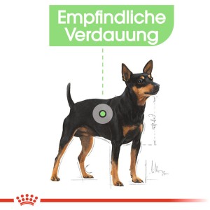 Royal Canin Digestive Care Mini Trockenfutter für kleine Hunde mit empfindlicher Verdauung.