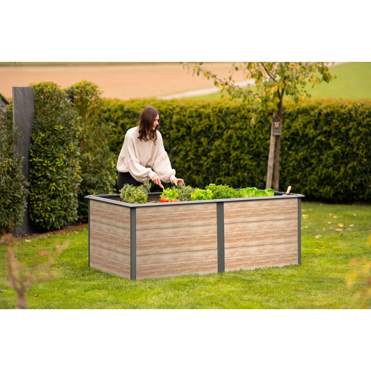 Westmann Hochbeet PrimusMulti aus Metall 2 m x 1 m x 77 cm Anthrazit