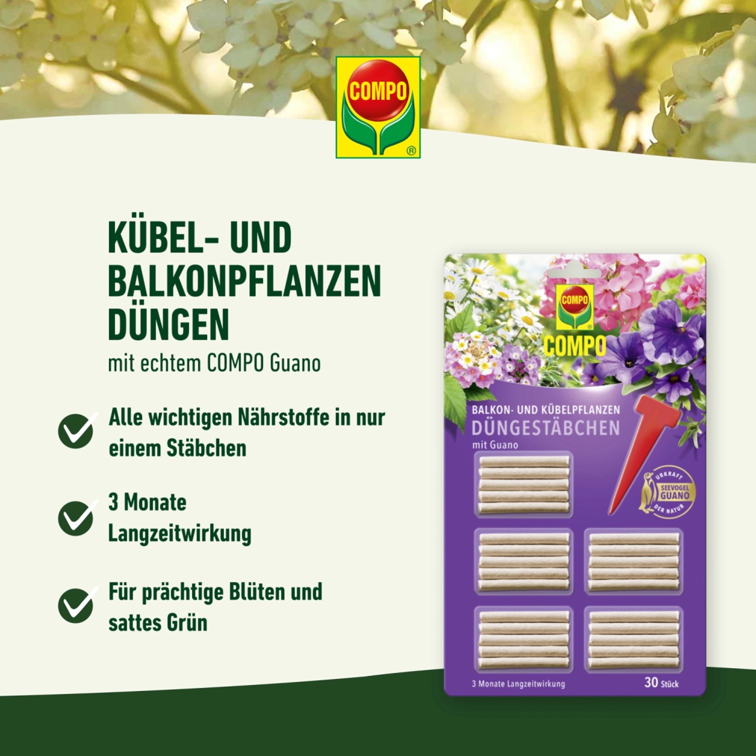 Compo Düngestäbchen für Balkon- und Kübelpflanzen mit Guano 30 Stäbchen_4