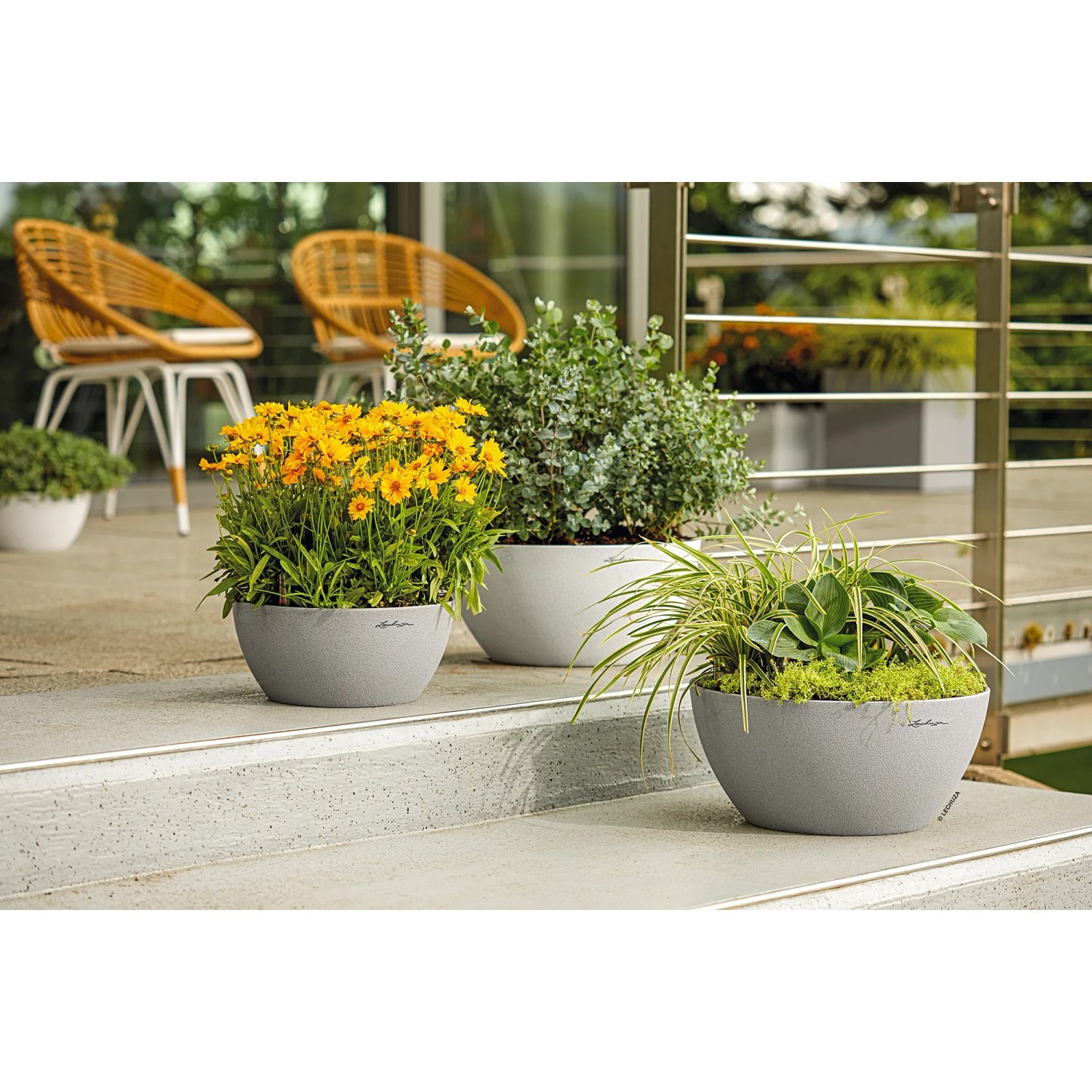 Lechuza Cubeto Stone 40 Pflanzschale in Steingrau mit Bepflanzung, Durchmesser 40 cm.