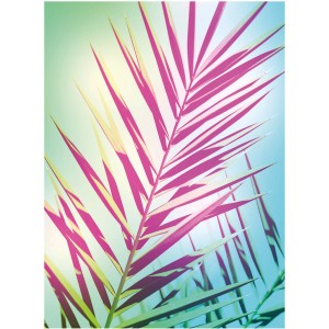 Komar Wandbild Shine (30x40 cm) mit pinkem Palmenblatt vor blauem Himmel.