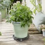 Schwarzer Wagner Pflanzenroller GH 0936 Ø 30 cm unter Topfpflanze auf Holzterrasse.