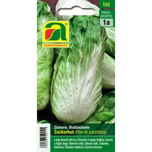 Saatgutpackung Zuckerhut, ein Herbst- und Wintersalat mit hellgrünen, kegelförmigen Köpfen.