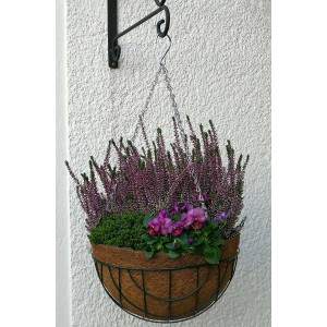 Blumenampel mit Proflora Kokoseinlage (30 cm) und Tropfschutz, bepflanzt mit lila Heidekraut und Stiefmütterchen.