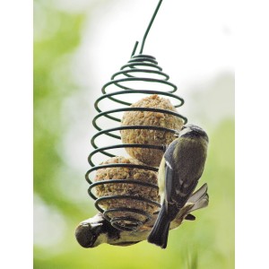 Dobar Vogelfutterfeder mit Meisenknödeln und Vögeln an Futterstelle.