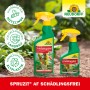 Neudorff Spruzit AF Schädlingsfrei, 2 Sprühflaschen gegen Blattläuse im Garten.