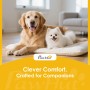Zwei glückliche Hunde, ein Golden Retriever und ein Pomeranian, liegen entspannt auf weichen Kissen. PawHut Haustierkomfort.
