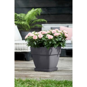 Anthrazitfarbener Elho Untersetzer Loft Urban 28 cm mit rosa Rosen bepflanzt.