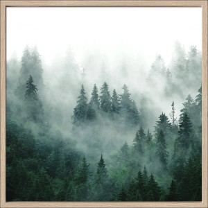 Bild mit Rahmen Anonymus Forest Feeling l 52,5 cm x 52,5 cm