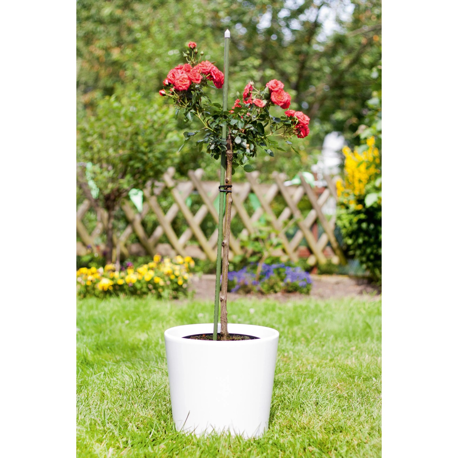 blumenkasten 50 cm wieviel erde JARDI 50 Anthrazit – Balkonkasten 50x17x17 cm 8 kg Naturschiefer Schwa –  CLIMAQUA main image 0