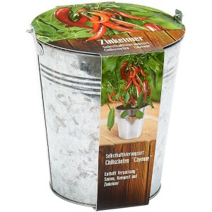 Chili De Cayenne-Set im Zinkeimer: Sämereien, Erde und roter Chili für den Garten.