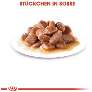 Royal Canin Instinctive Katzen-Nassfutter in Soße auf einem Teller.