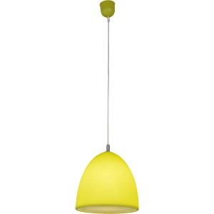 Grüne Näve Pendelleuchte Silkworm mit transparentem Lampenschirm.