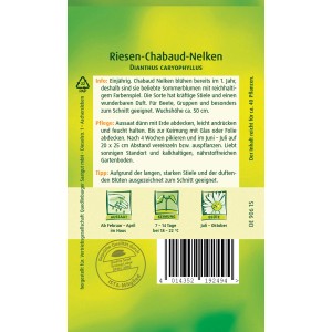 Quedlinburger Riesen-Chabaudnelken Mischung: Blumensamen für ein buntes Farbenspiel im Garten.
