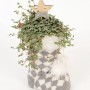 Winterliches Arrangement mit Kanonierblume im Strumpf, Topf ca. 14cm. Dekorative Bepflanzte Schale für Innen.