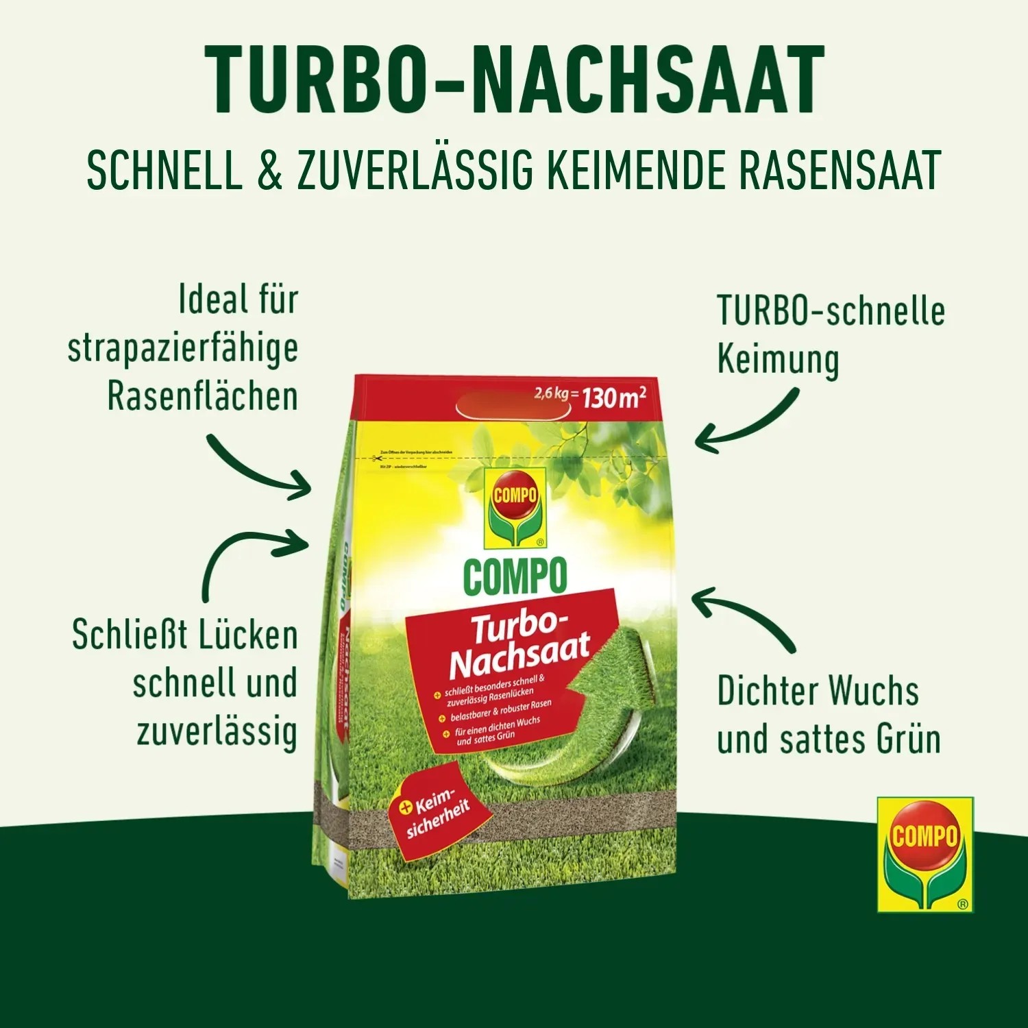 brokkoli saatgut gewinnen BIO Brokkoli Samen (Calabrese) main image 1