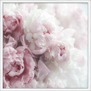 Gerahmtes Bild mit Pfingstrosen in zarten Rosatönen, 52,5x52,5 cm. Wanddeko für Wohnraum.
