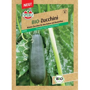 Sperli Bio Kletterzucchini "Ola Escaladora" (Cucurbita pepo)