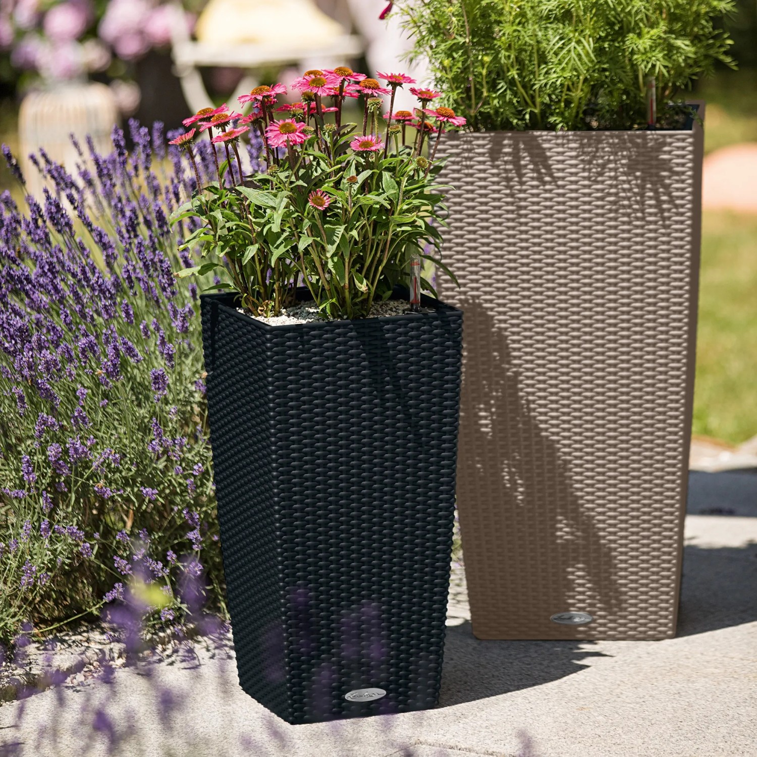 Lechuza Cubico Cottage Pflanzsäule, 40x40x75 cm, sandbraun und anthrazit, mit Bepflanzung im Garten.