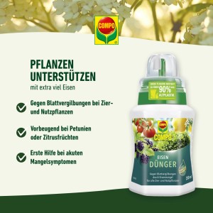Compo Eisendünger 250 ml