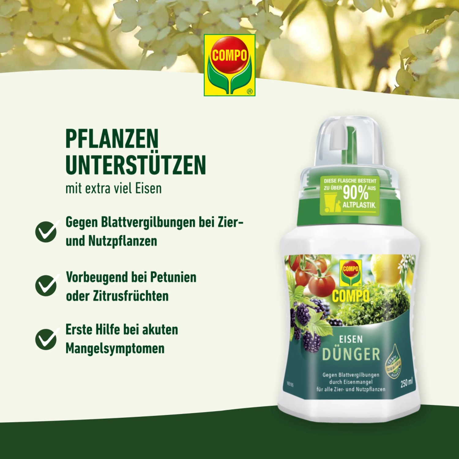 Compo Eisendnger 250 ml kaufen bei OBI