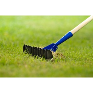 LUX Rasenlüfter Classic mit Zinken auf Rasen, zur Bodenbearbeitung und Rasenpflege.