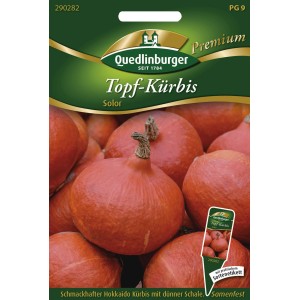 Samentüte Quedlinburger Hokkaido-Kürbis 'Solor', Topf-Kürbis für Balkon und Terrasse.