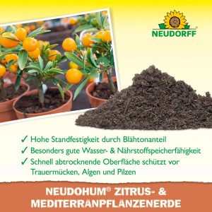 Neudorff Erde für Zitrus & Mediterranpflanzen NeudoHum 40 l