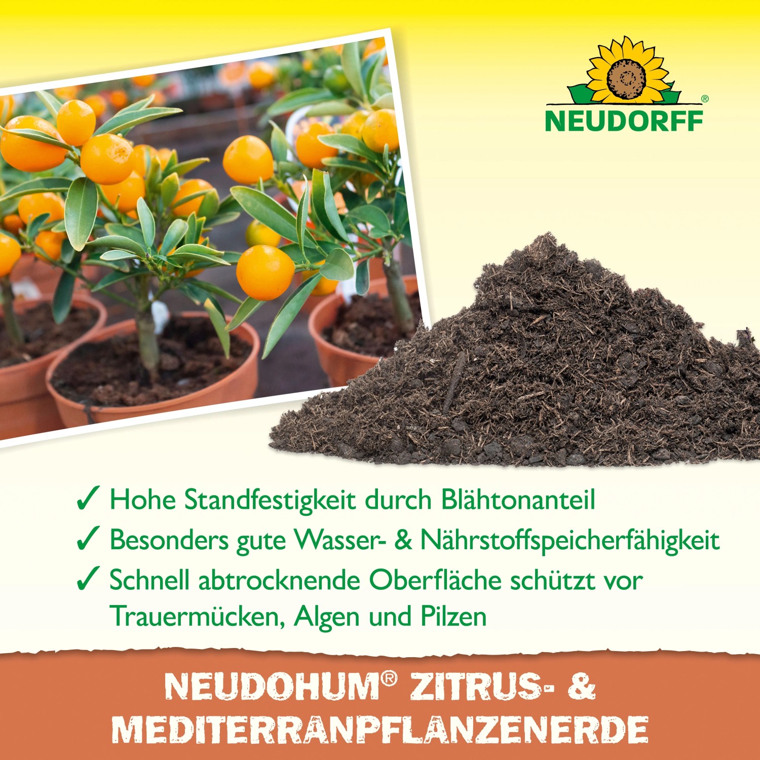 Neudorff Zitruserde NeudoHum 40L: Erde für Zitrus- und Mediterranpflanzen mit Orangenbaum.