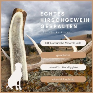 Supravit Hirschgeweih Größe S, gespaltenes Kauspielzeug für Hunde. Fördert Zahngesundheit, robust & geruchsfrei.