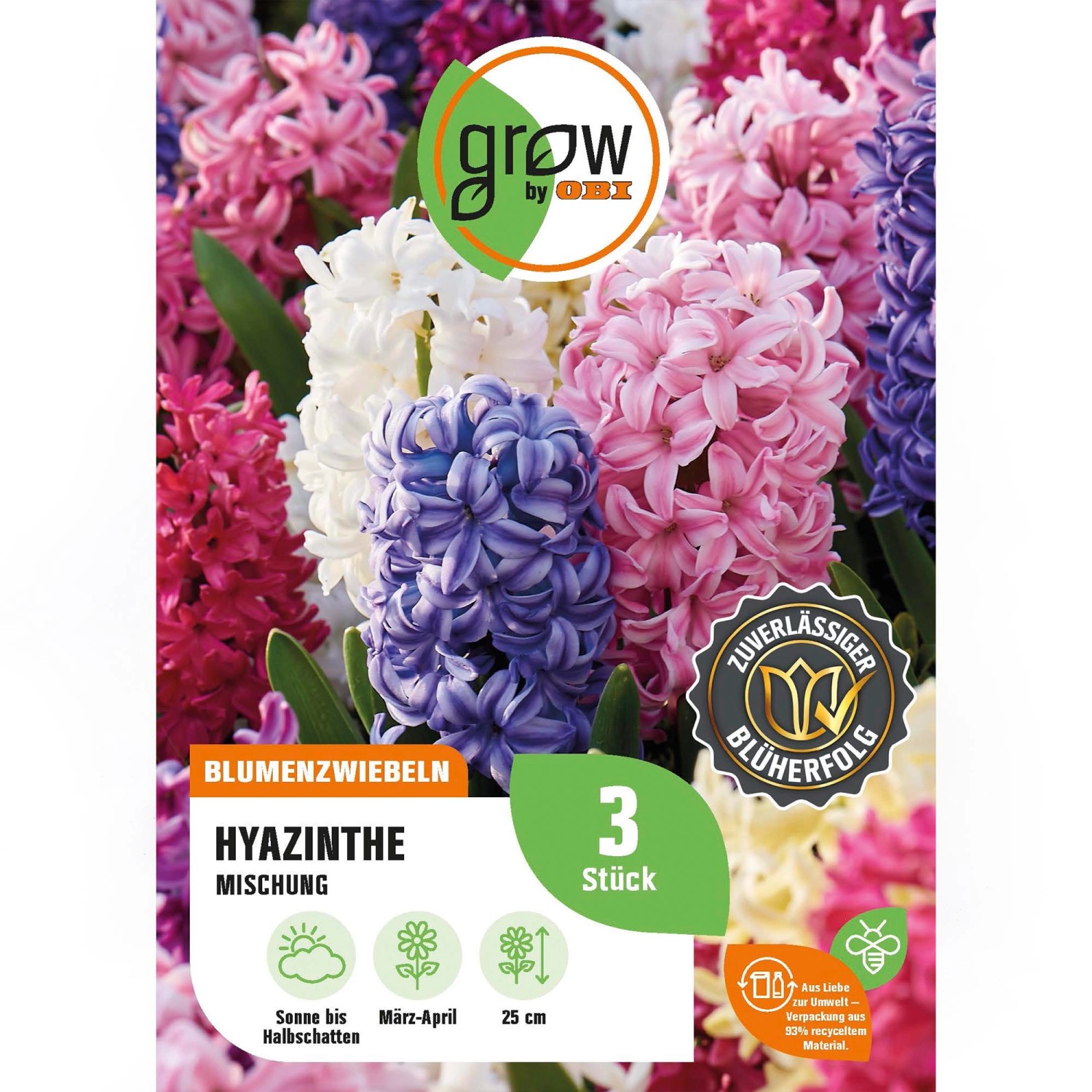 GROW by OBI Hyazinthen-Mischung, Blumenzwiebeln in verschiedenen Farben.