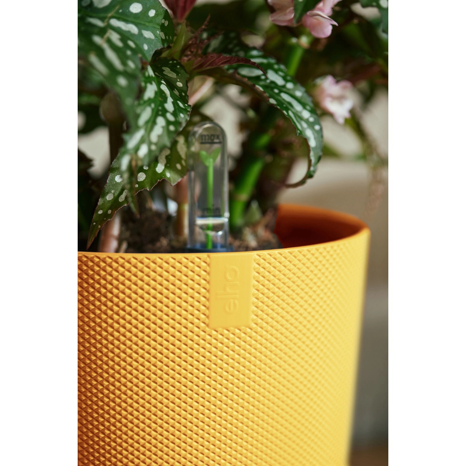 Gelber Elho Blumentopf Jazz (Ø 18,9 cm) mit Pflanze und Wasserstandsanzeige.
