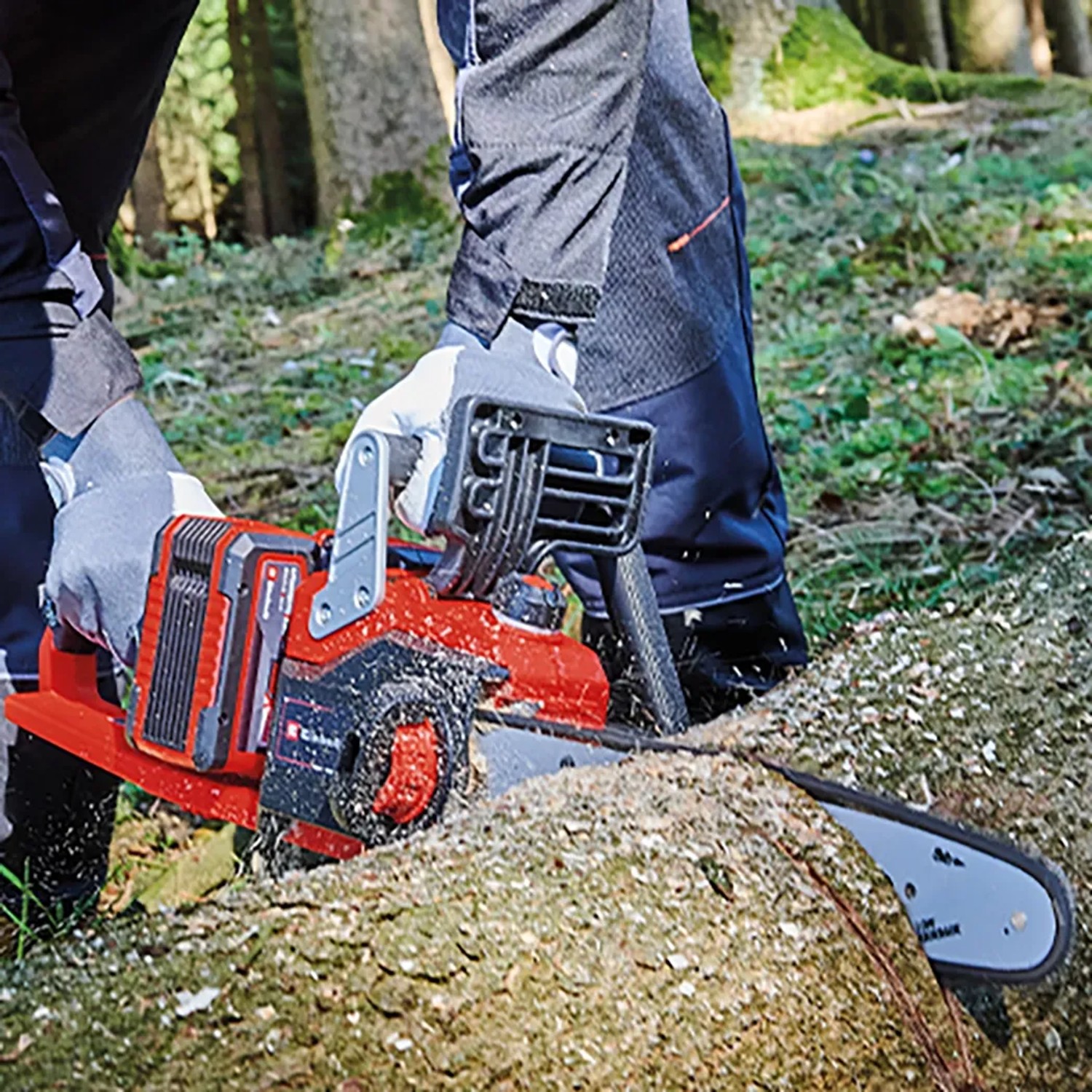 Einhell Akku-Kettensäge GP-LC 36/35 Li-Solo beim Sägen eines Baumstamms im Wald.