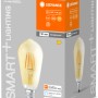 Ledvance Smart+ Filament Edison E27, 6W, Gold, dimmbar. Smarte LED Lampe im Retro-Design.