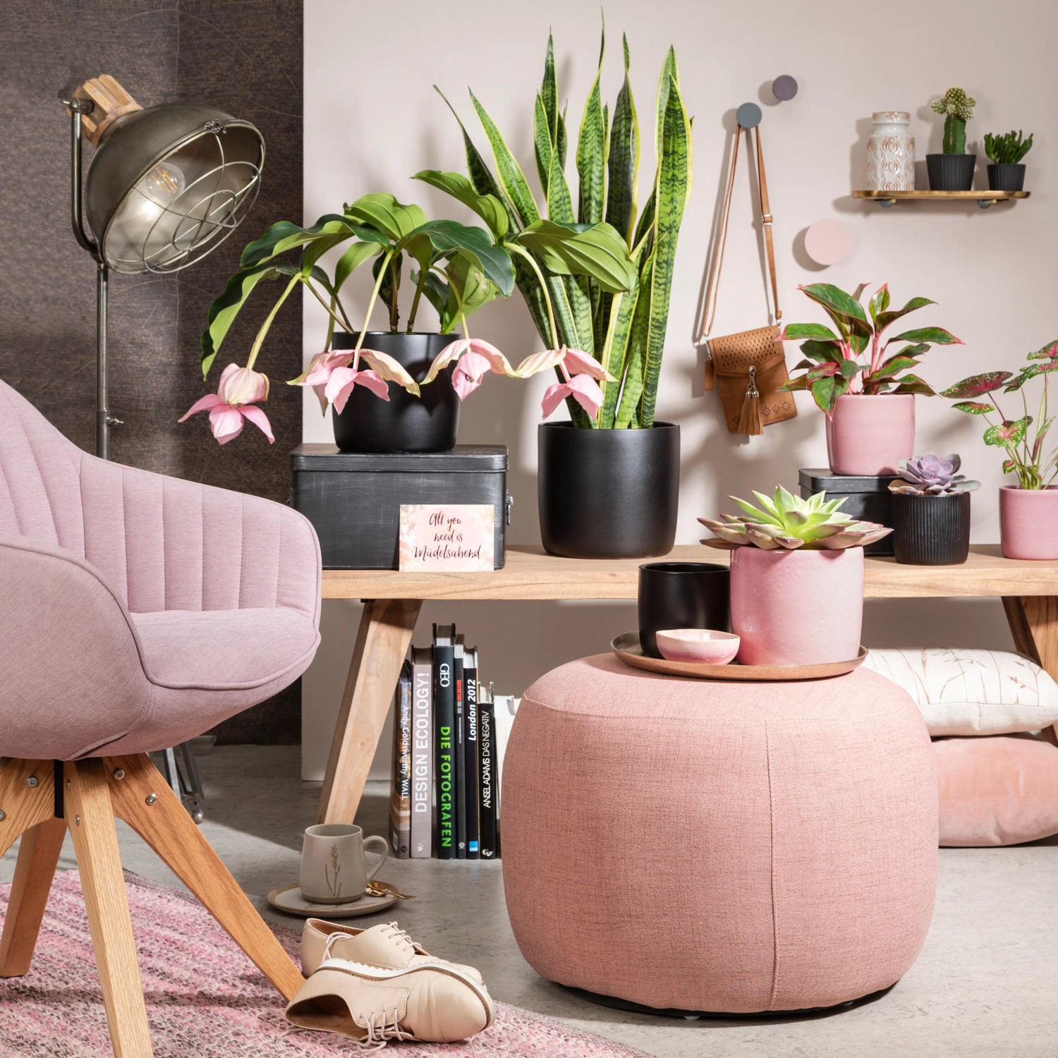 Scheurich Übertopf Solido 900 Rosea, Ø 18cm, auf Tisch mit Pflanzen in Wohnraum.