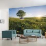 Vlies Fototapete mit Frühlingswiese, Baum und Sonnenschein für Wandgestaltung.