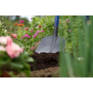 Schwarze LUX Frankfurter Schaufel mit Aufbug und 130 cm Eschenstiel im Garten.