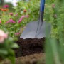 Schwarze LUX Frankfurter Schaufel mit Aufbug und 130 cm Eschenstiel im Garten.